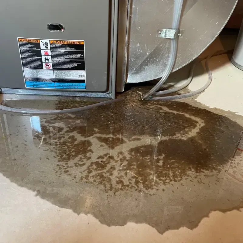 Appliance Leak Cleanup in Broadview Heights, OH